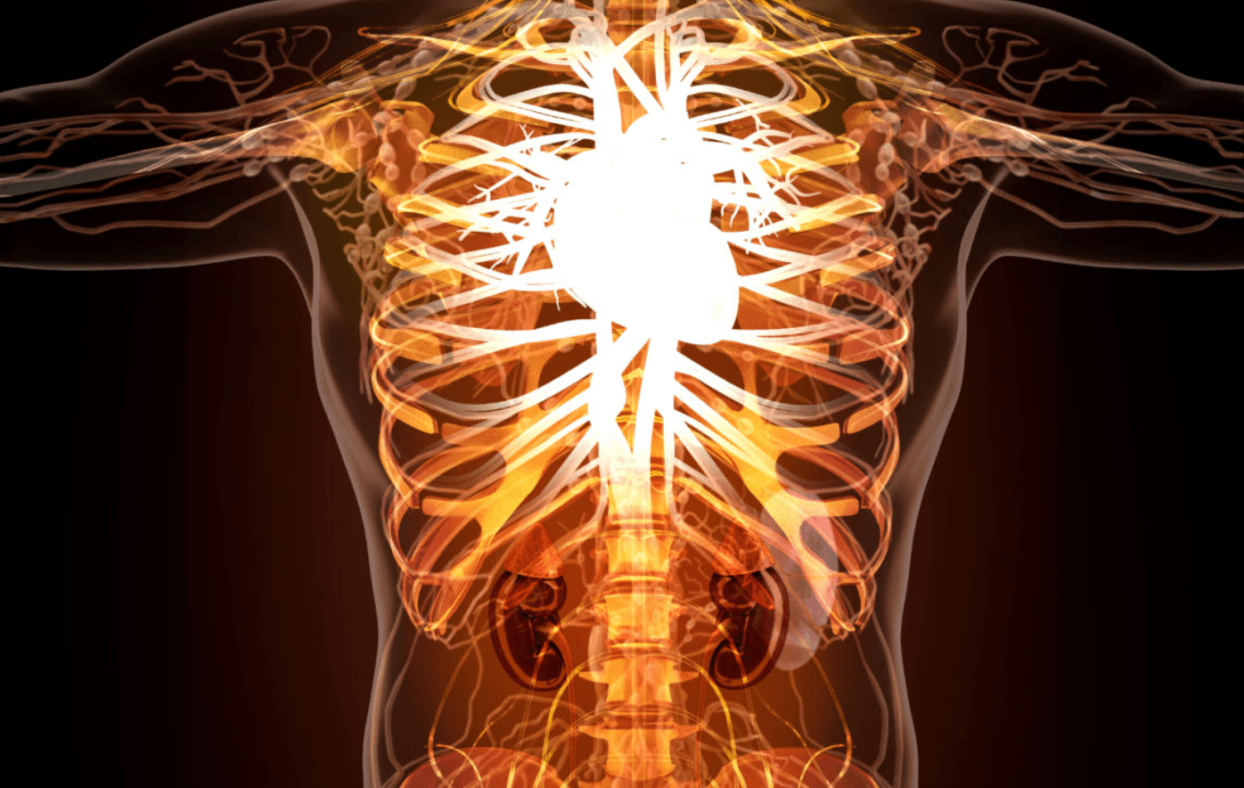What Does Healthy Cellular Function Mean?
