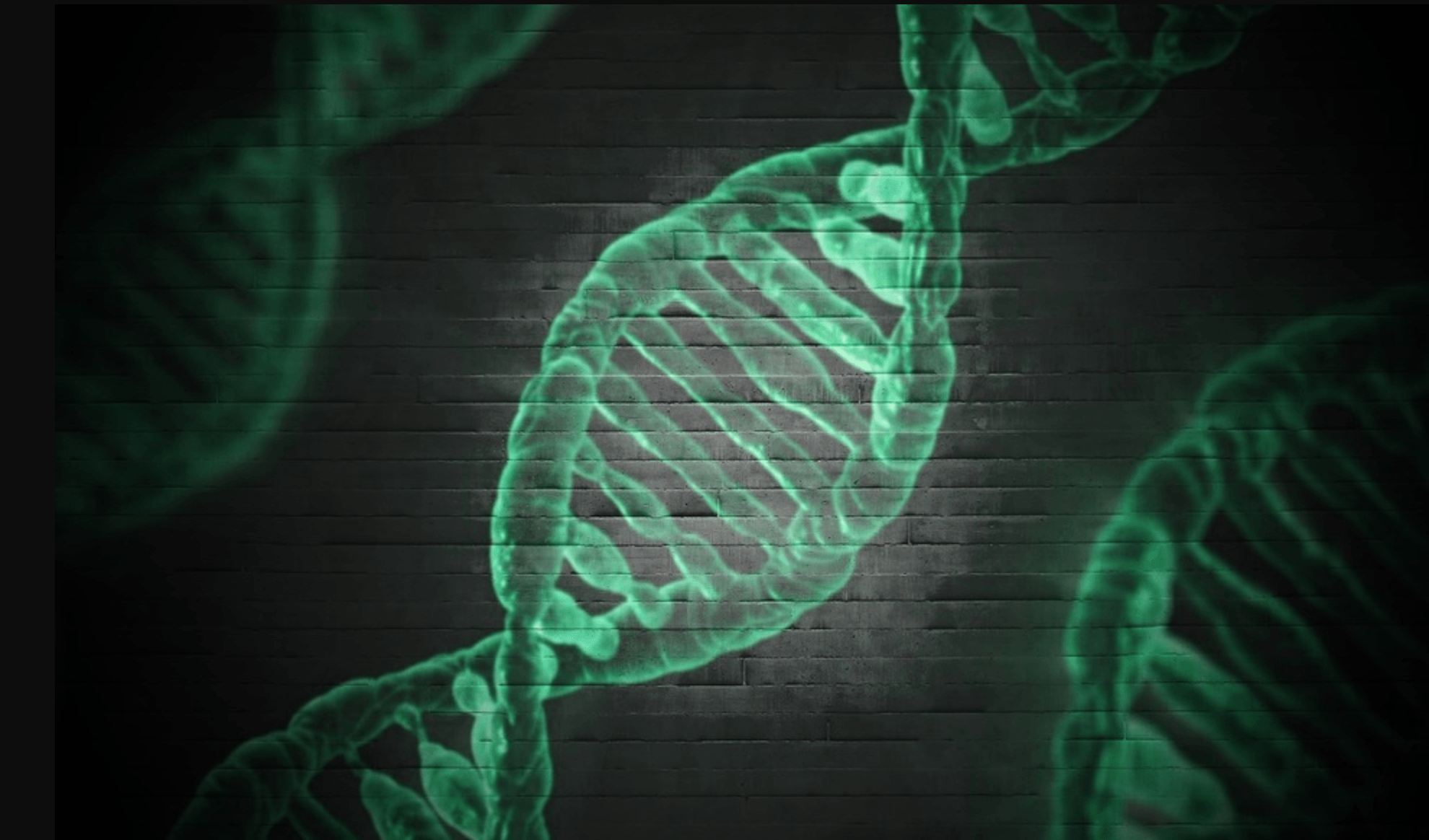 Promethease Personalized DNA Report Made Simple and Better