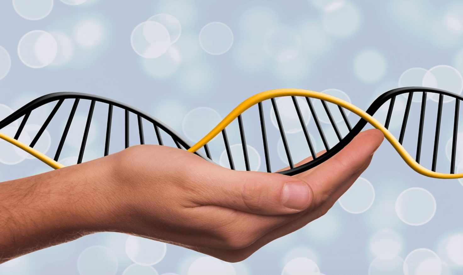 Promethease DNA Report for Free