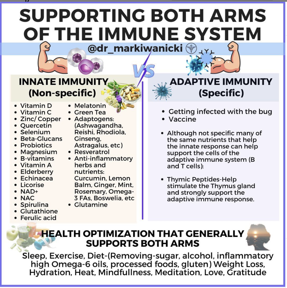 Support Both Arms of Your Immune System