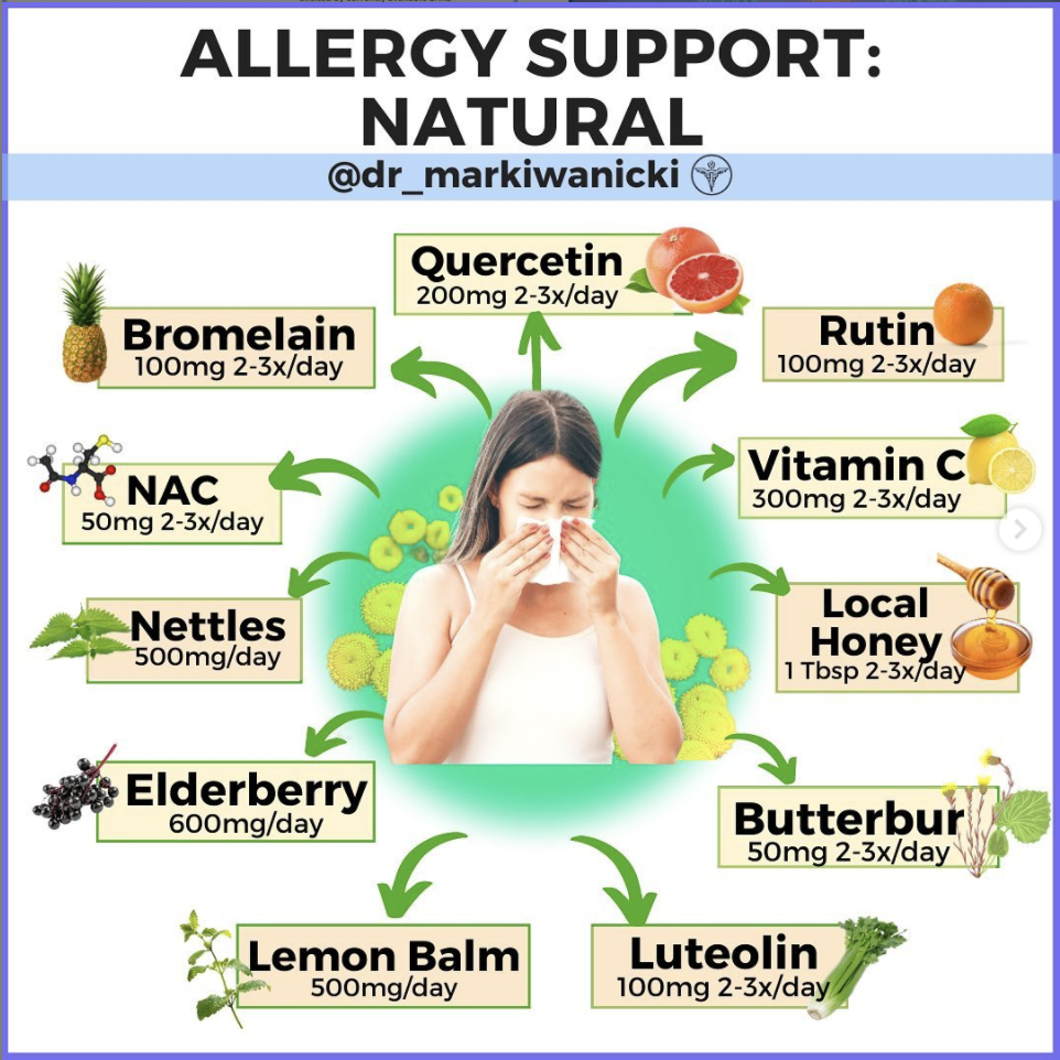 Guide to Natural Allergy Support