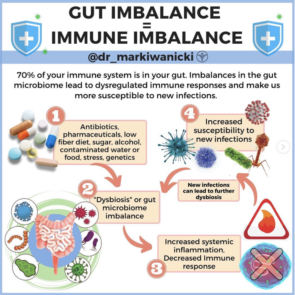 Gut Imbalance -IS- Immune Imbalance