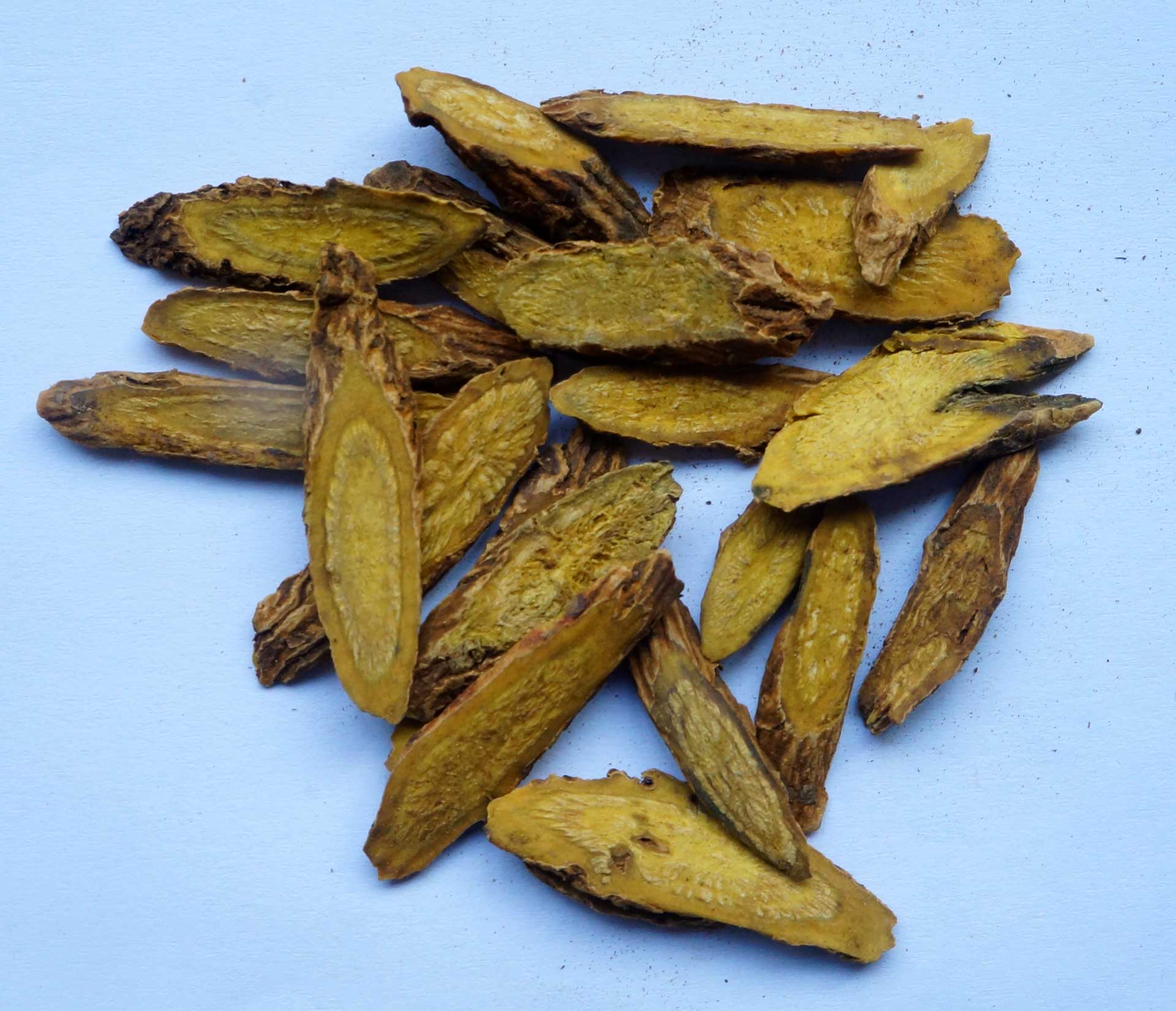 Image result for chinese skullcap