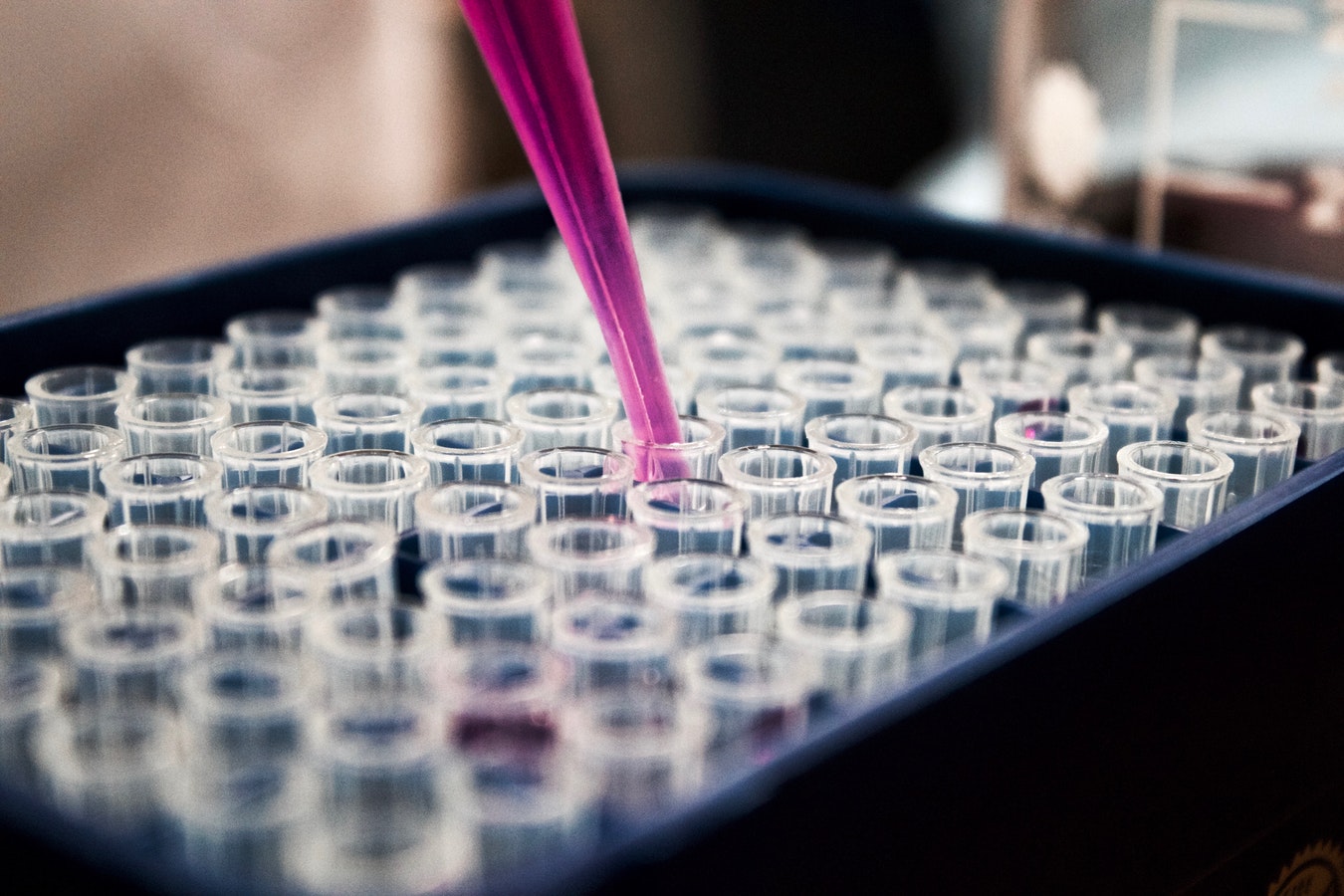 You have your Login to 23andMe— Now what?