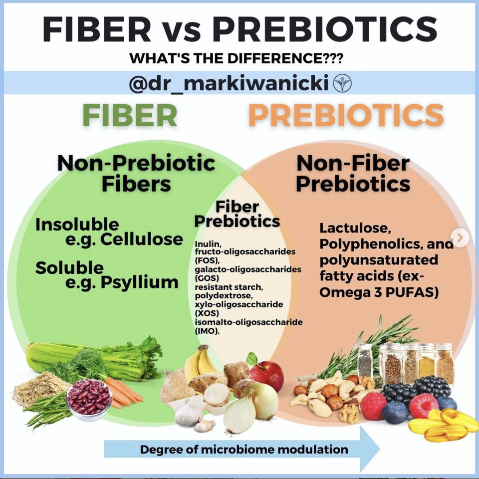 Gut Health: Fiber vs Prebiotics