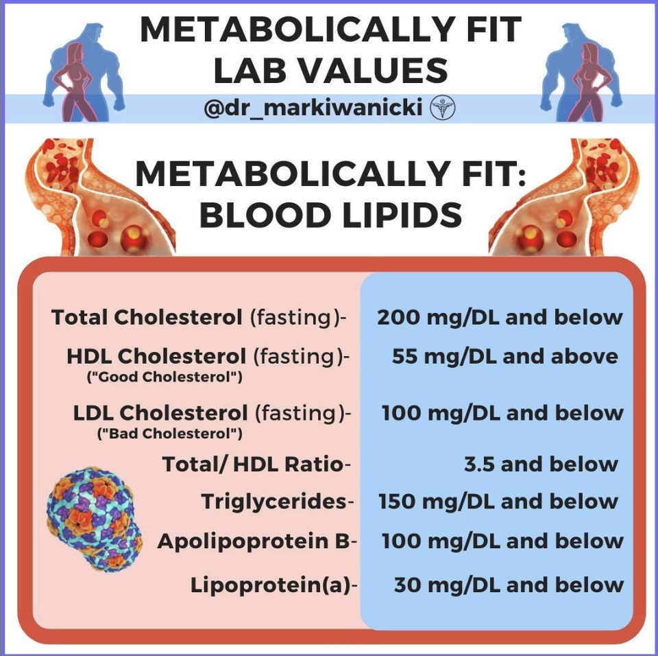 Metabolic Lab Values Blood Lipids