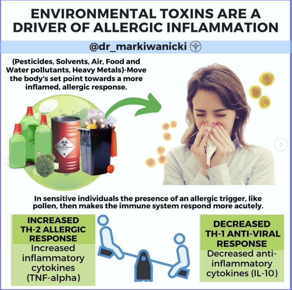 Environmental Toxins are a Driver of Allergic Inflammation