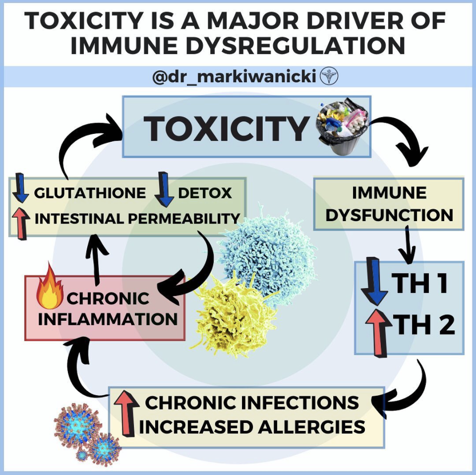 Toxicity is a Major Driver of Immune Dysregulation