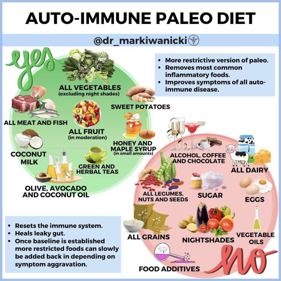 Auto-Immune Paleo Diet a Natural Way to Support Your Immune System