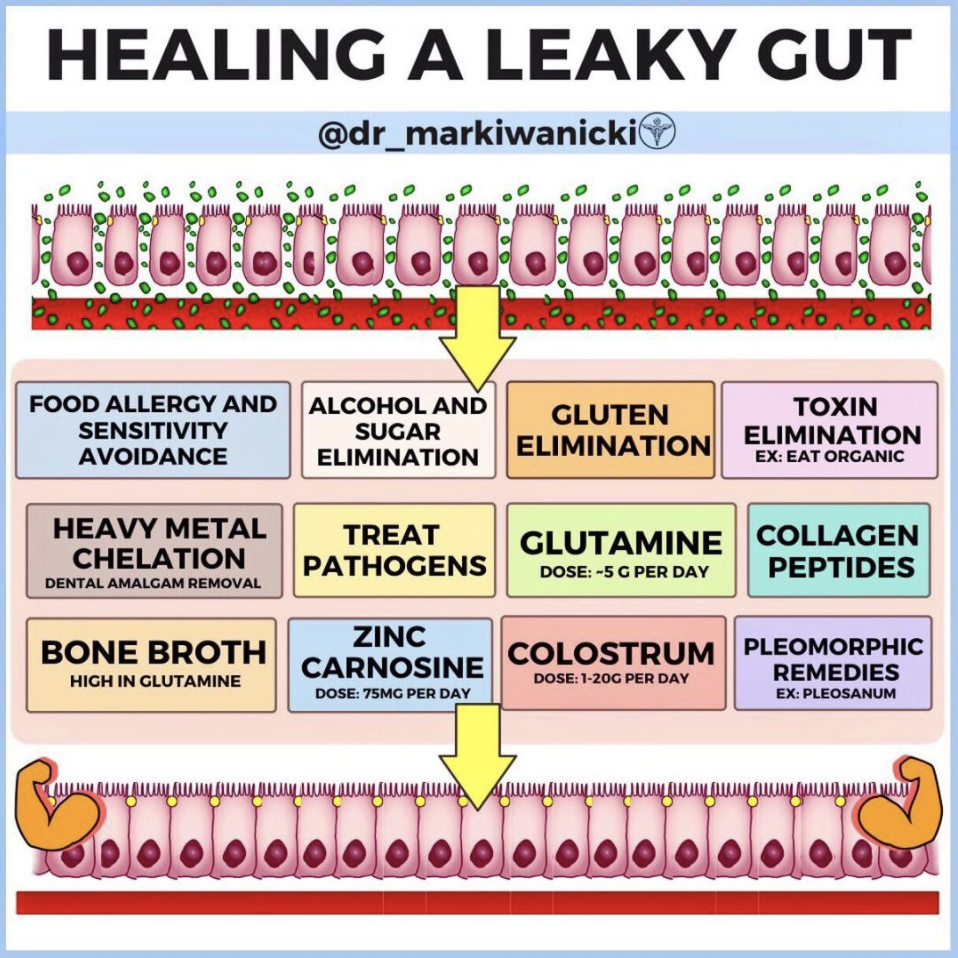 How to Heal a Leaky Gut
