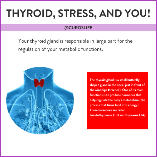 How Stress Affects Your Thyroid and Ultimately Your Health